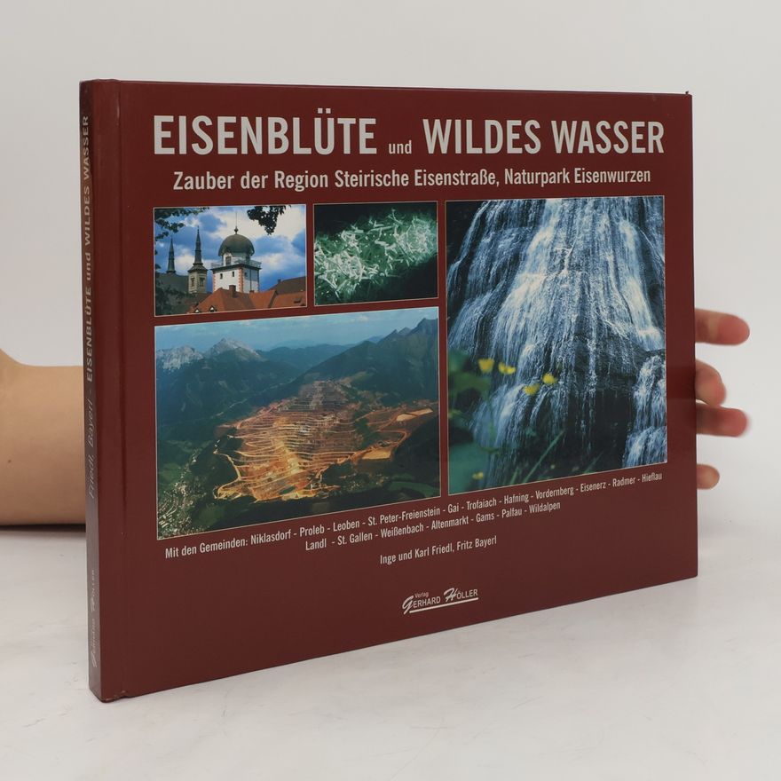 Fritz Bayerl Eisenblüte und wildes Wasser