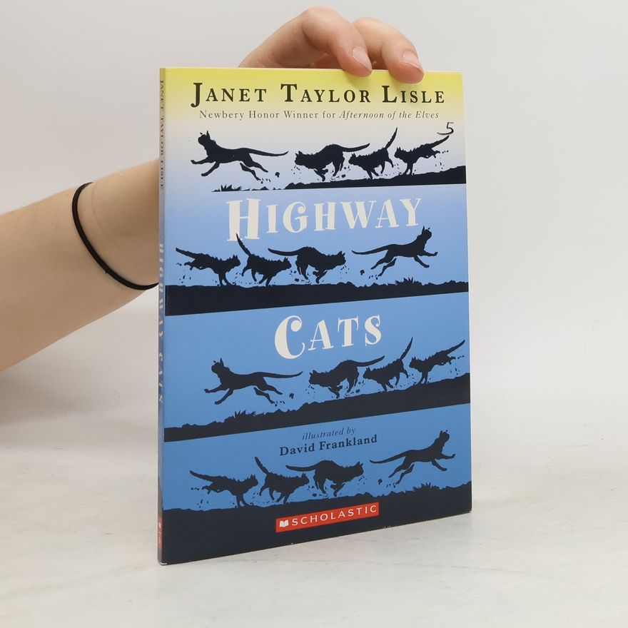 Janet Taylor Lisle Highway Cats