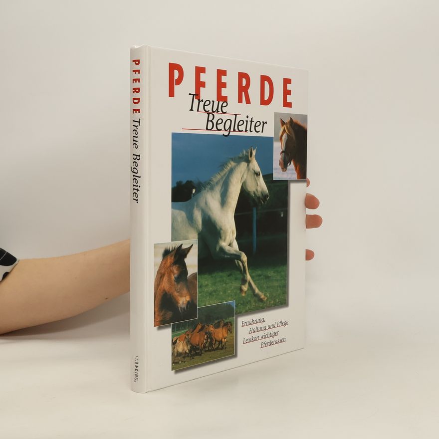 Joachim Grau Pferde. Treue Begleiter