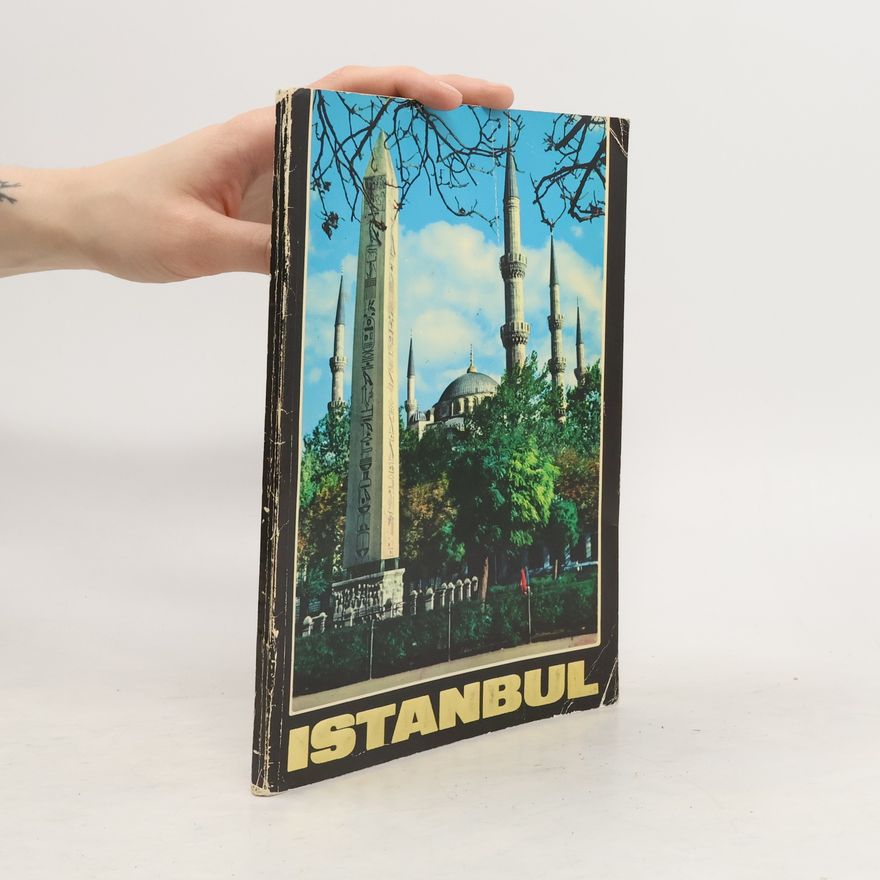 Autorenkollektiv Istanbul