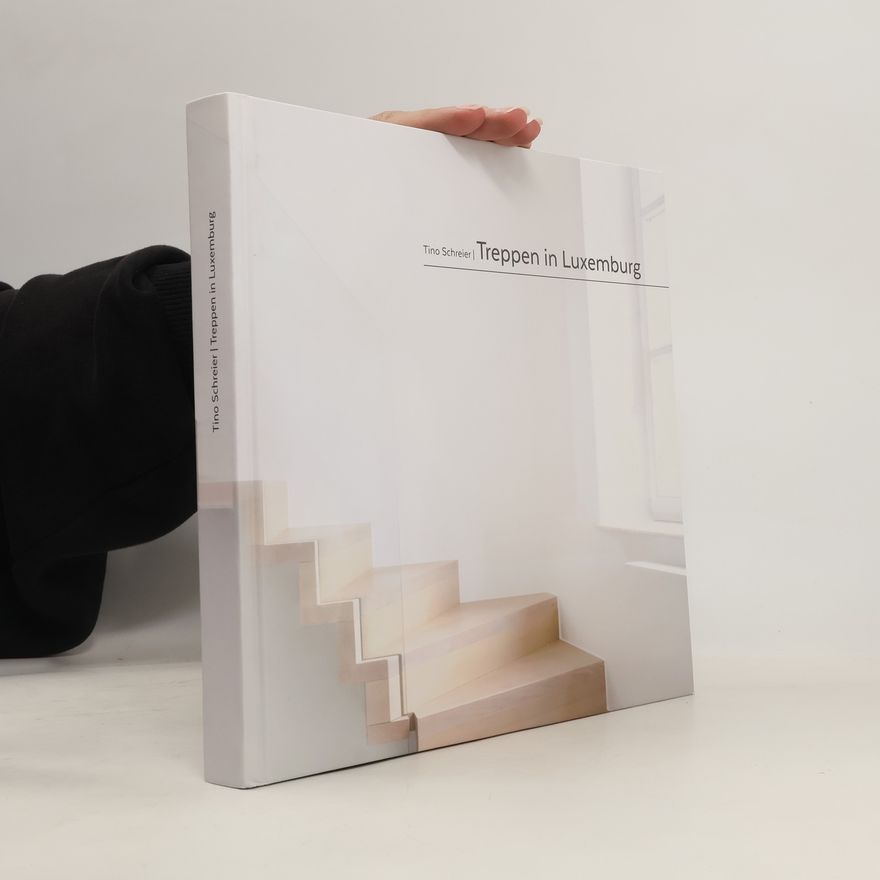 Tino Schreier Treppen in Luxemburg