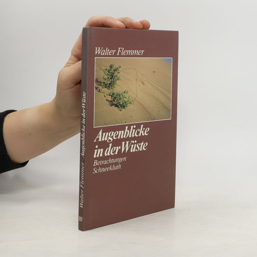 Walter Flemmer Augenblicke in der Wüste