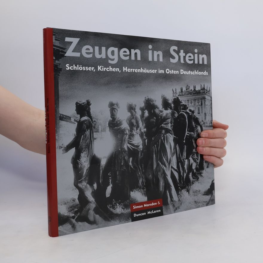 Simon Marsden Zeugen in Stein
