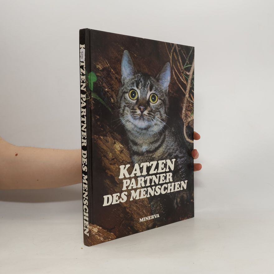 Kolektiv autorů Katzen Partner des Menschen