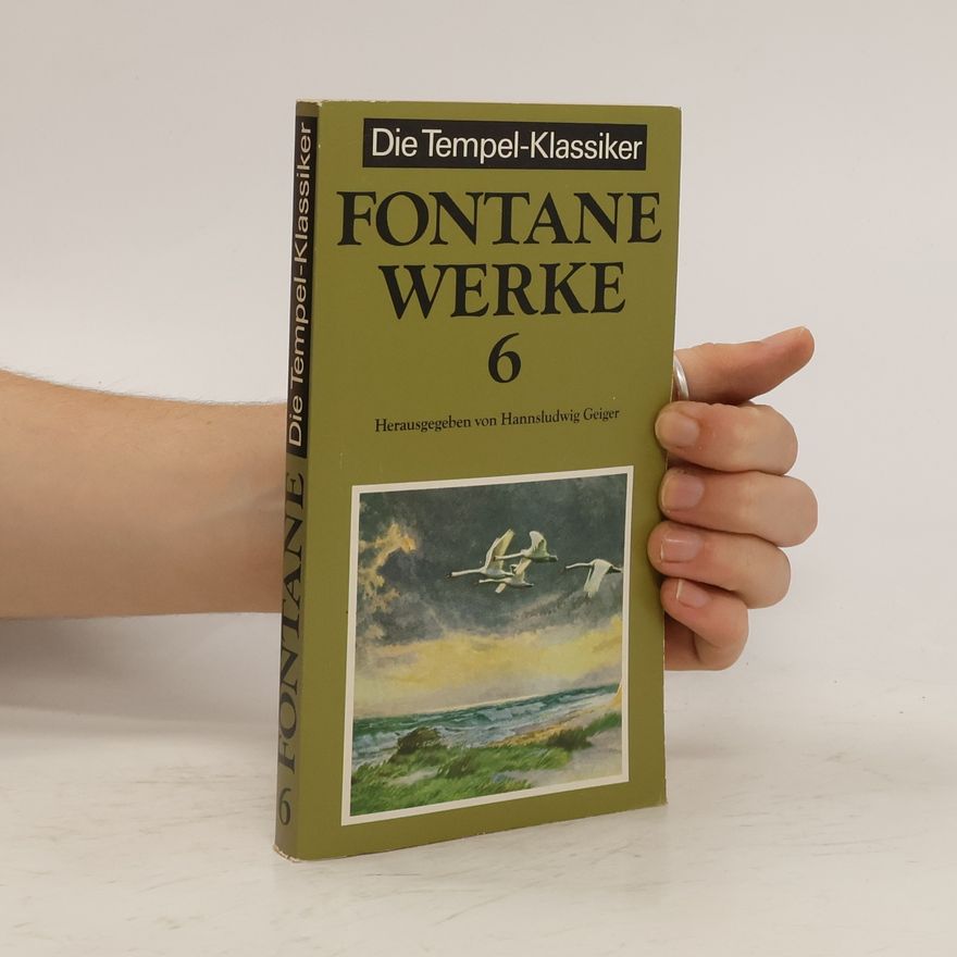 Theodor Fontane Werke 6