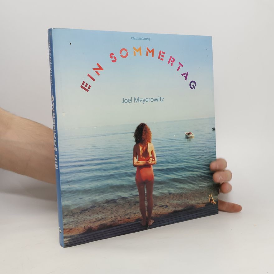 Joel Meyerowitz Ein Sommertag