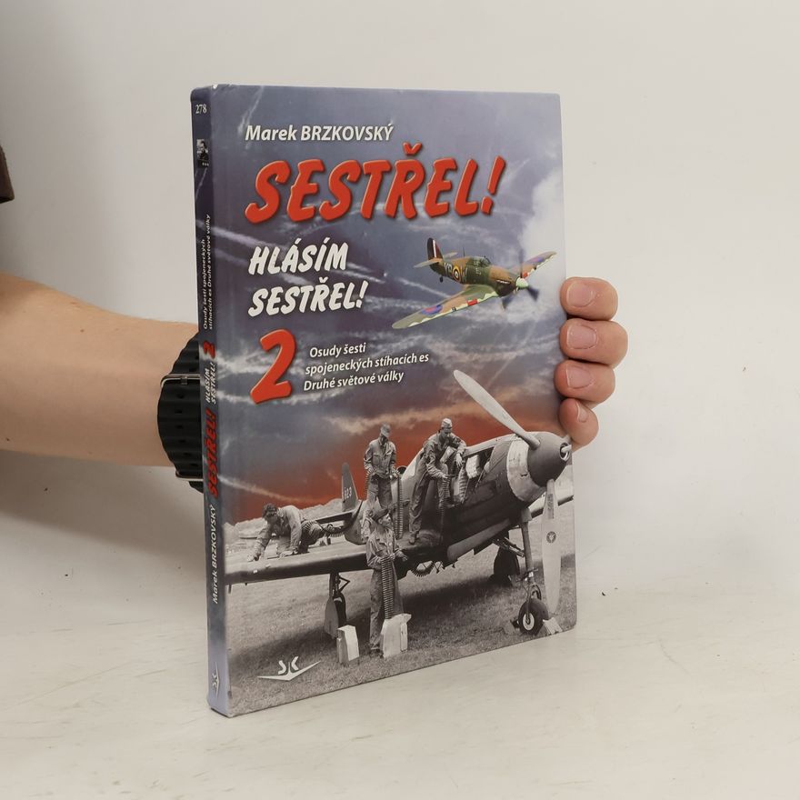 Marek Brzkovský Sestřel! Hlásím sestřel! 2