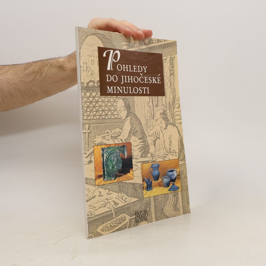 Kolektiv autorů Pohledy do jihočeské minulosti