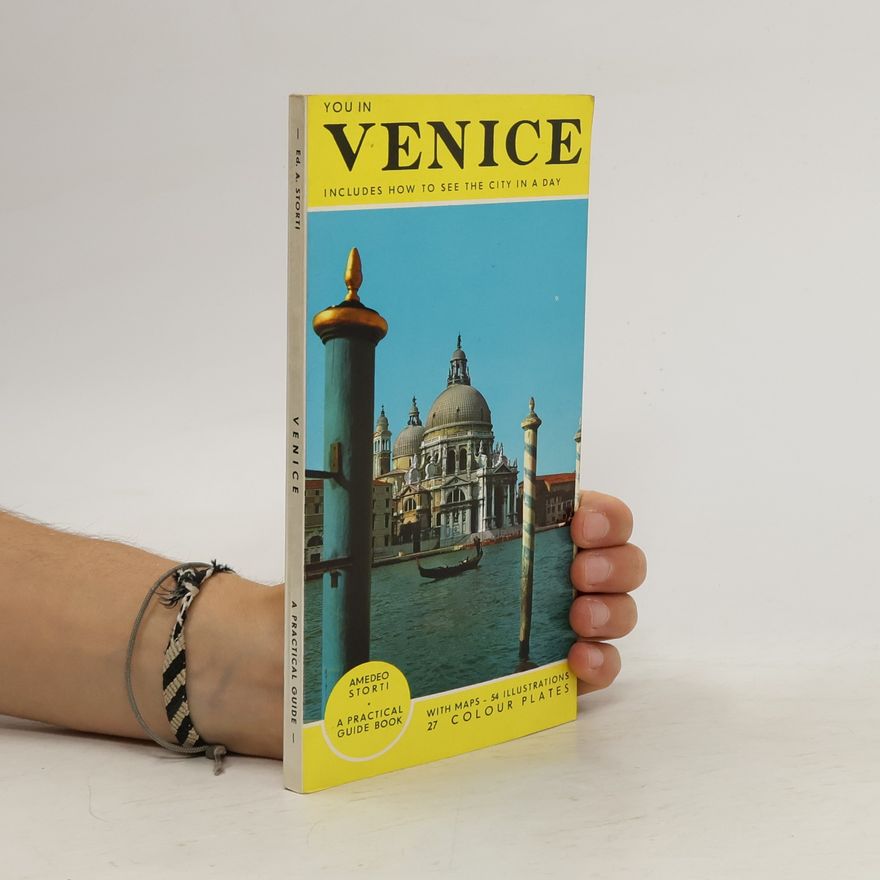 Amedeo Storti Venice. A Practical Guide