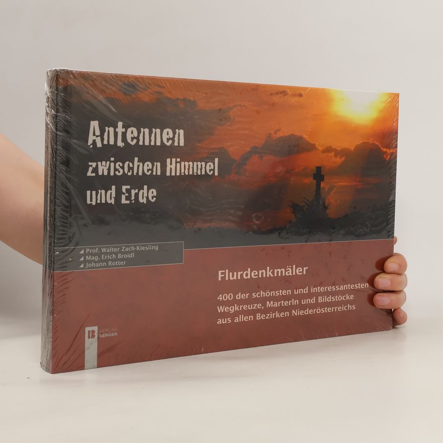 Walter Zach-Kiesling Antennen zwischen Himmel und Erde