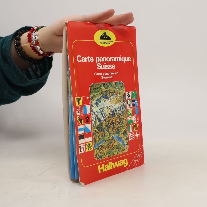 Kolektív autorov Carte panoramatique Suisse