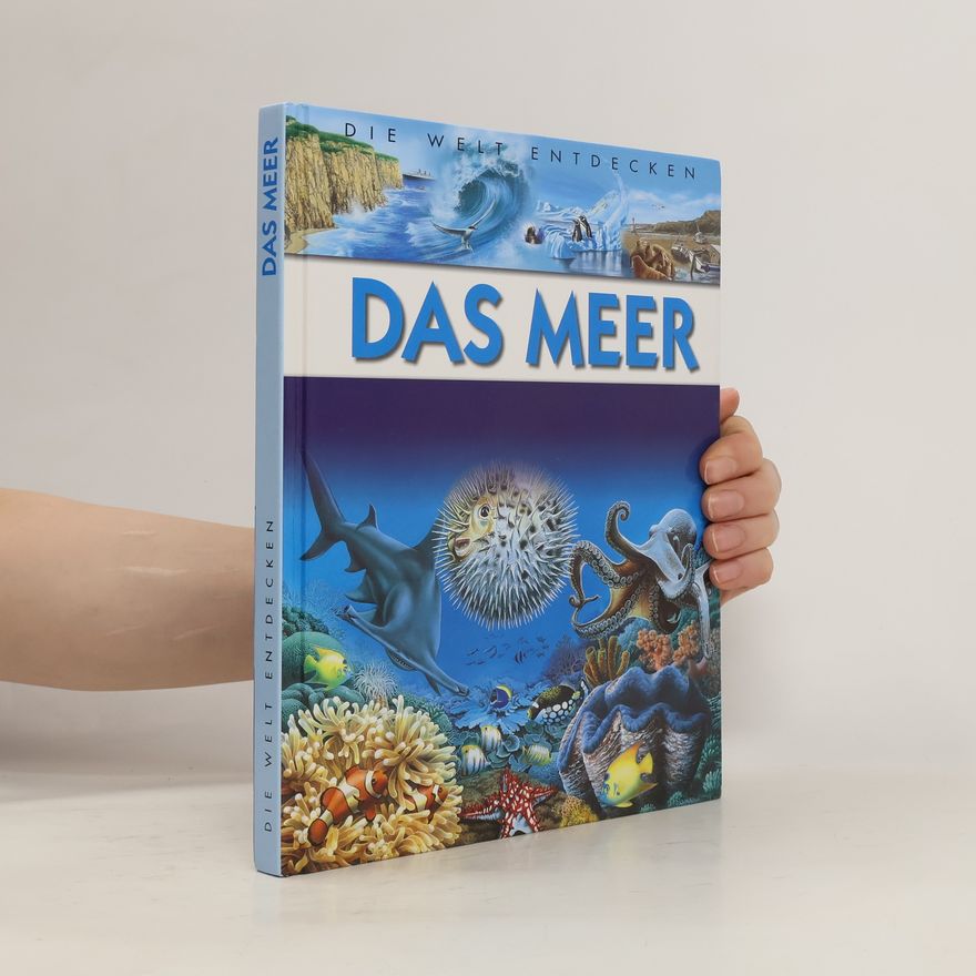 Kolektiv autorů Das Meer