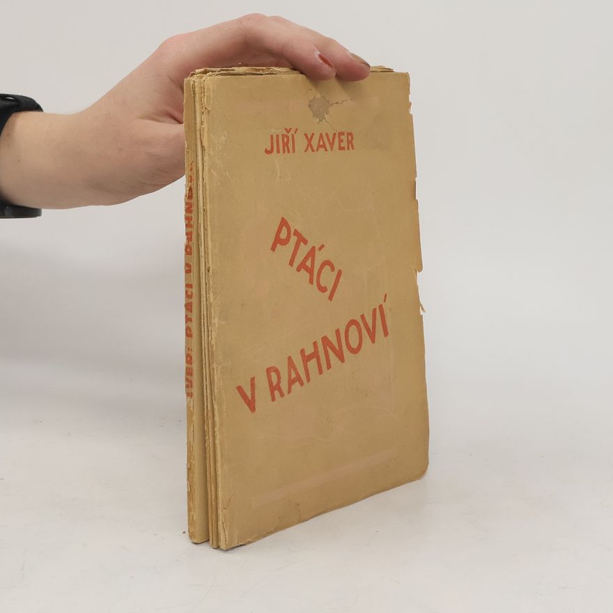 Jiří Xaver Ptáci v rahnoví