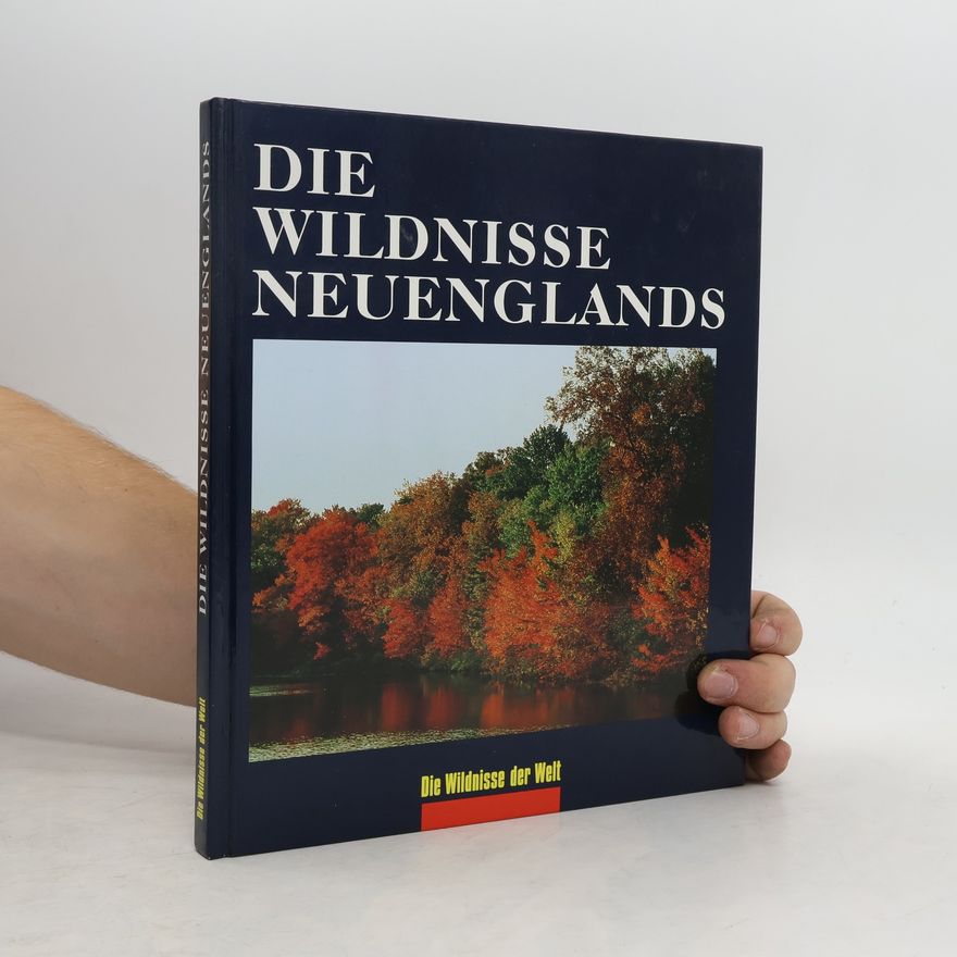 Autorenkollektiv Die Wildnisse Neuenglands