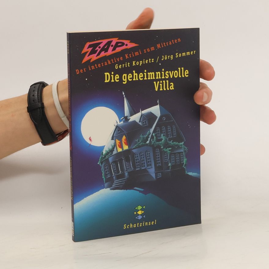 Jörg Sommer ZAP 01. Die geheimnisvolle Villa.