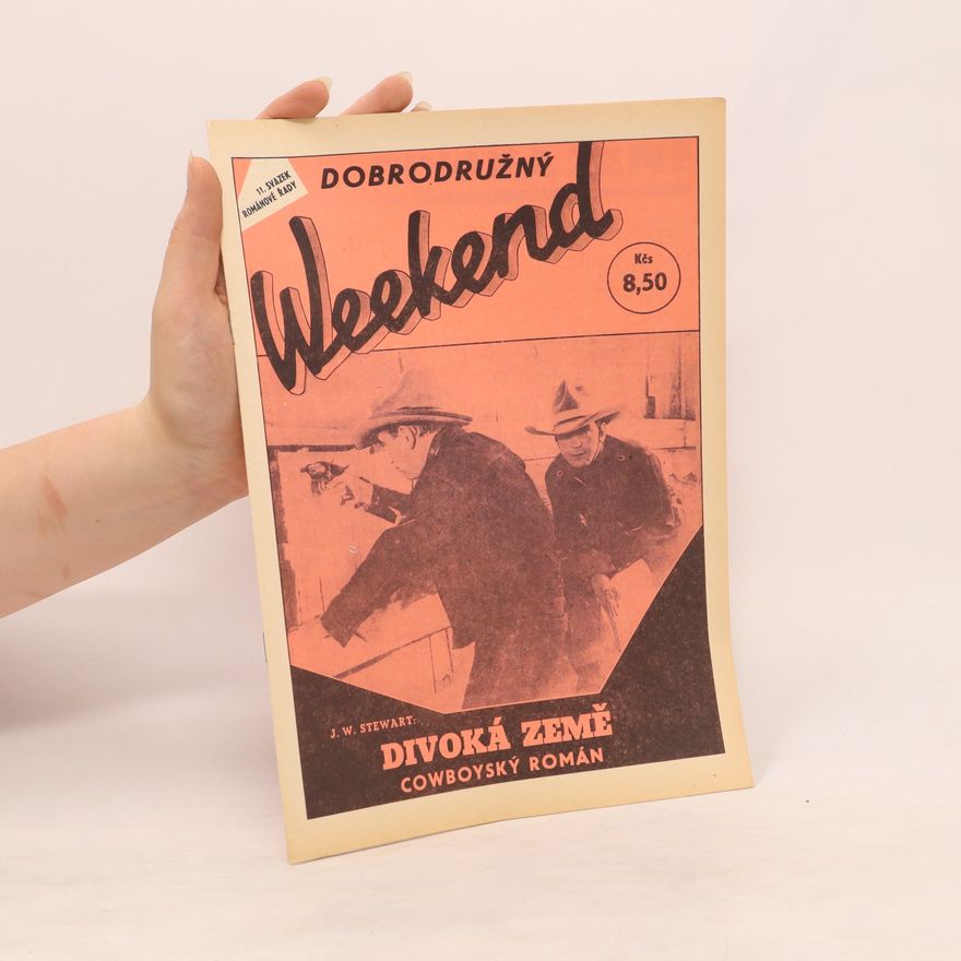 J. W. Stewart Divoká země : Cowboyský román