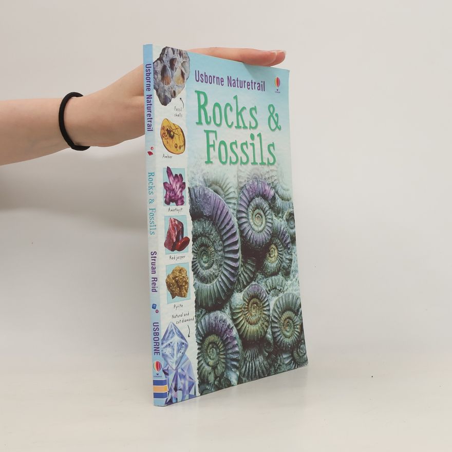 Kolektiv autorů Rocks and fossils