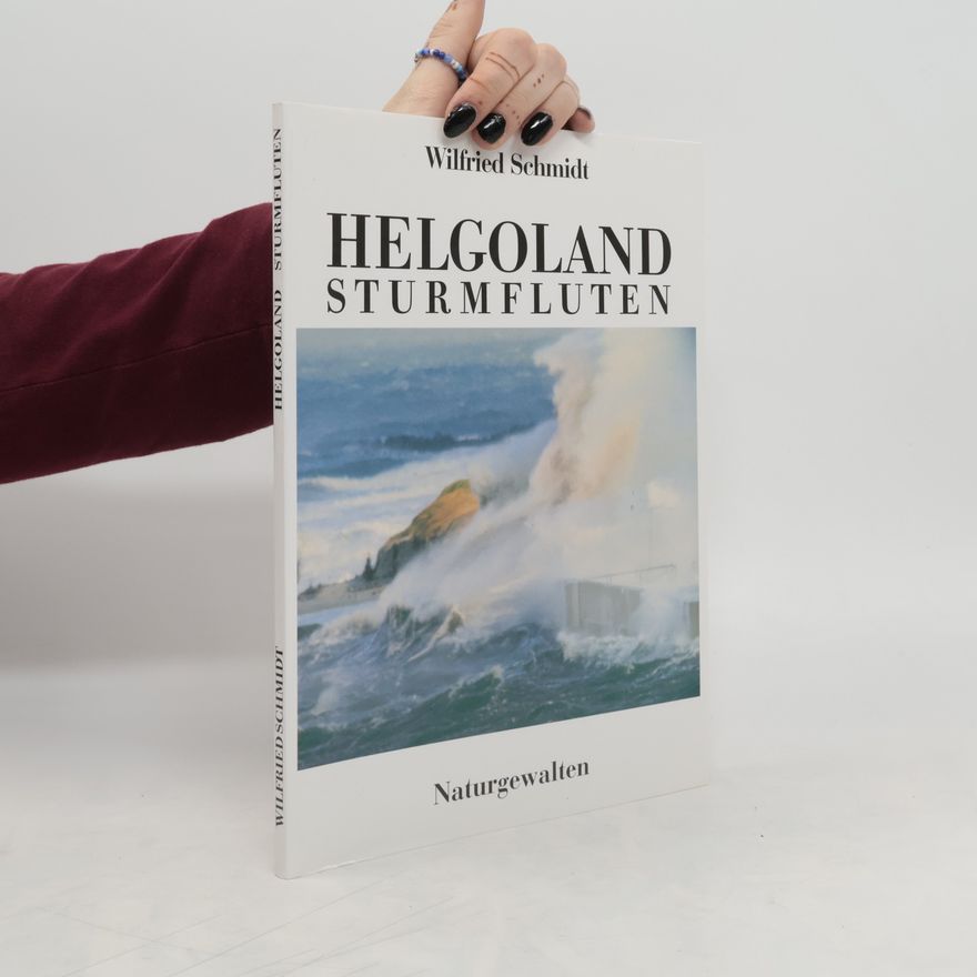 Wilfried Schmidt Helgoland - Sturmfluten