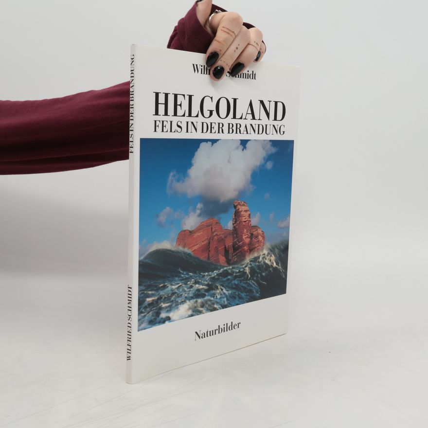 Wilfried Schmidt Helgoland - Fels in der Brandung