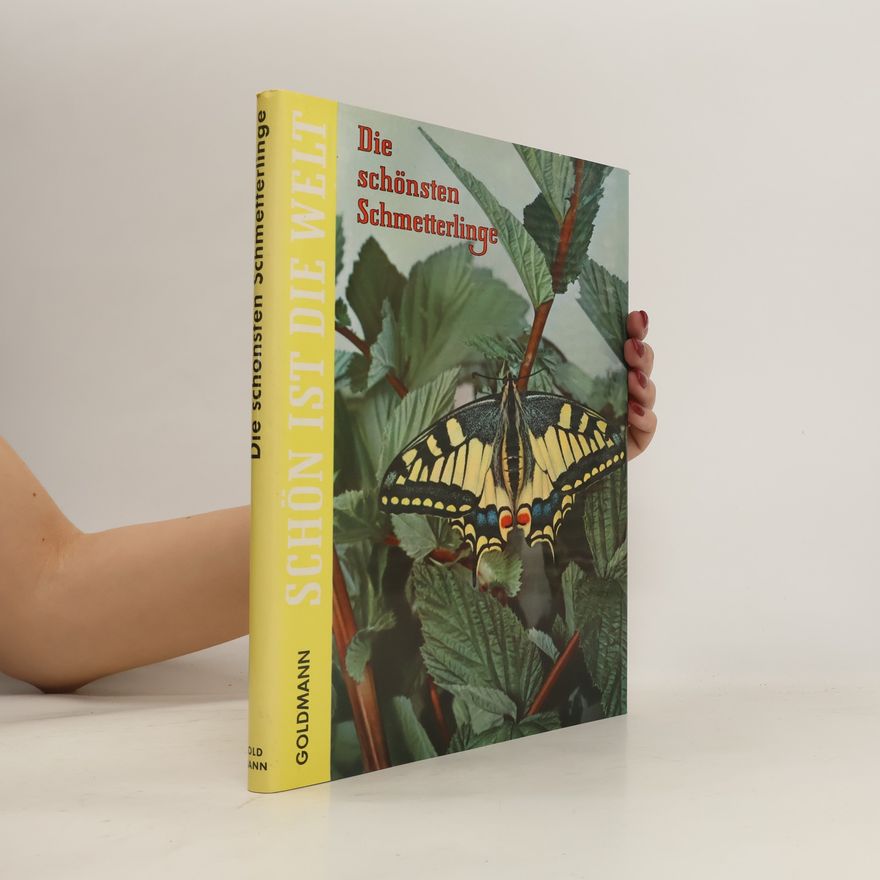 Autorenkollektiv Die schönsten Schmetterlinge