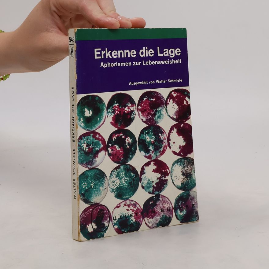 Walter Schmiele Erkenne die Lage. Aphorismen zur Lebensweisheit