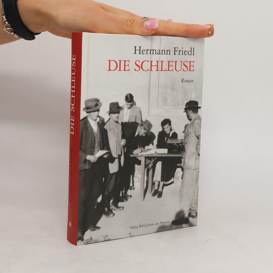 Hermann Friedl Die Schleuse. Roman