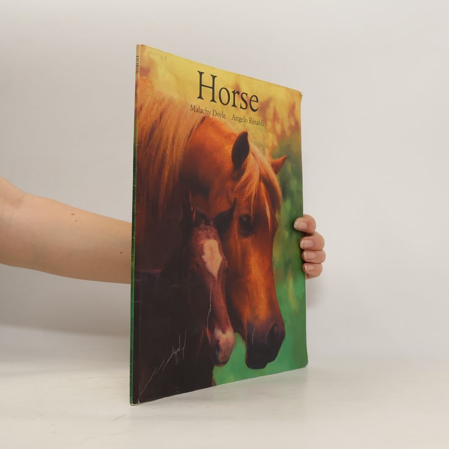 Angelo Rinaldi Horse