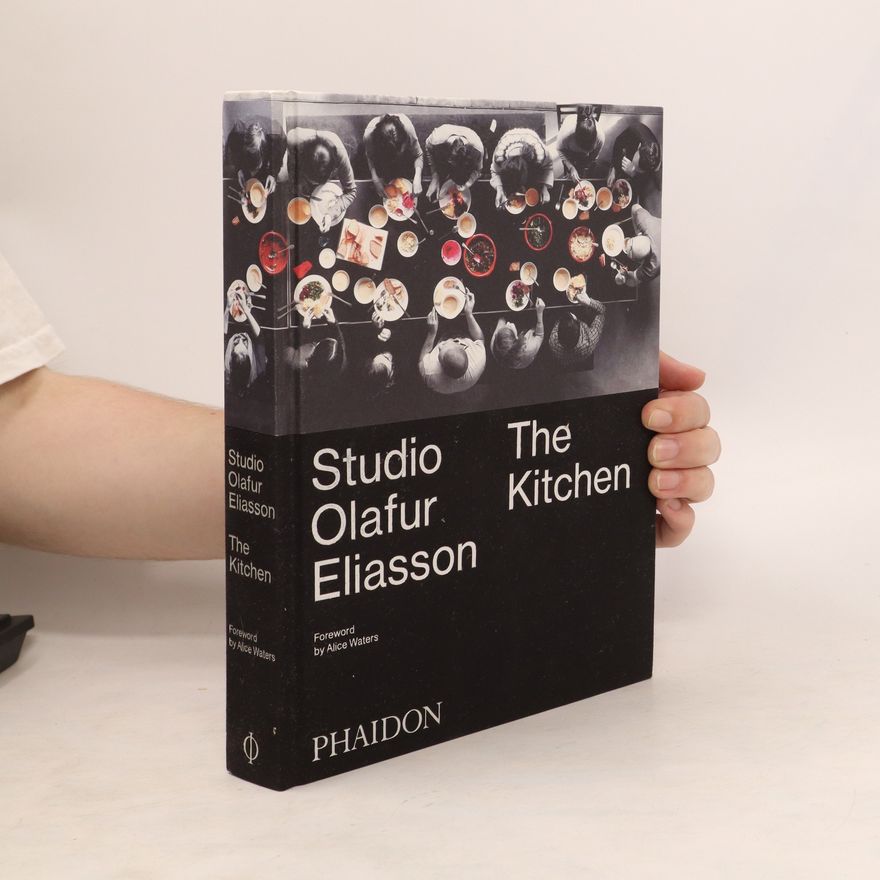 Asako Iwama Studio Olafur Eliasson.The Kitchen