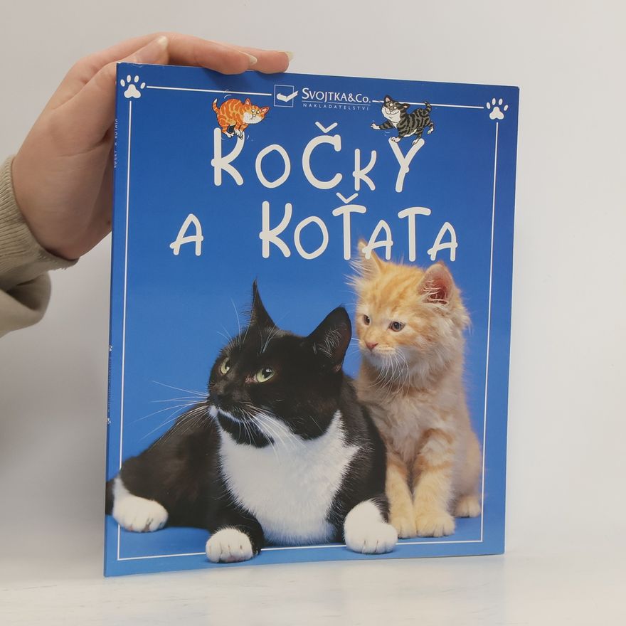 Autorenkollektiv Kočky a koťata