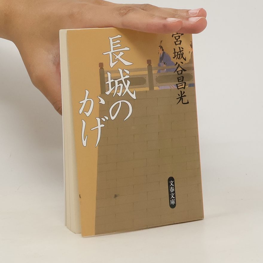 Masamitsu Miyagitani 長城のかげ