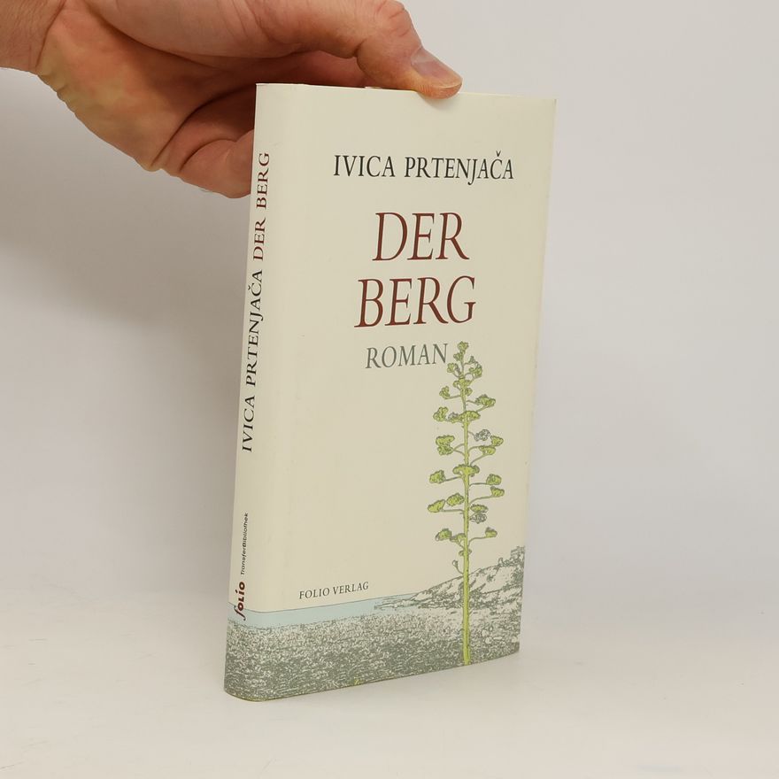 Ivica Prtenjaca Der Berg