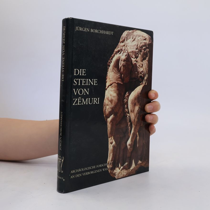 Jürgen Borchhardt Die Steine von Zẽmuri