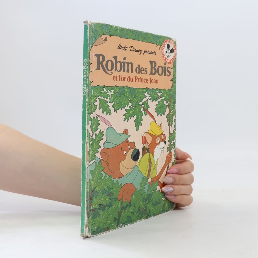 Kolektiv autorů Robin des Bois et l'or du Prince Jean