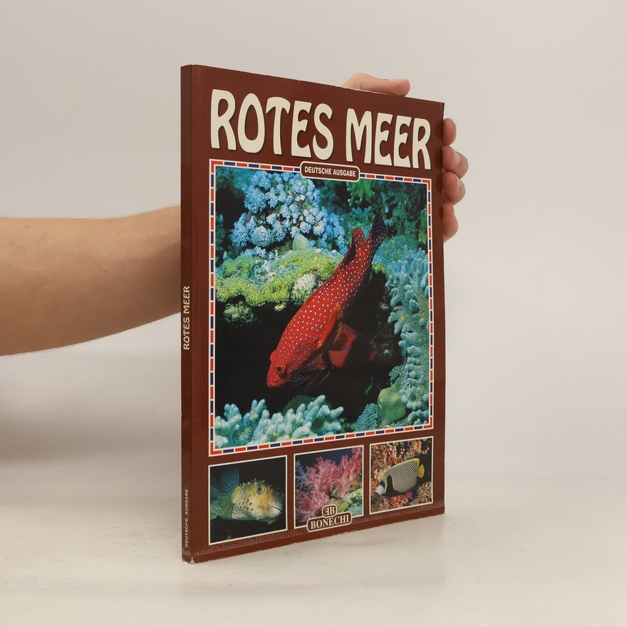 Andrea Ghisotti Rotes Meer