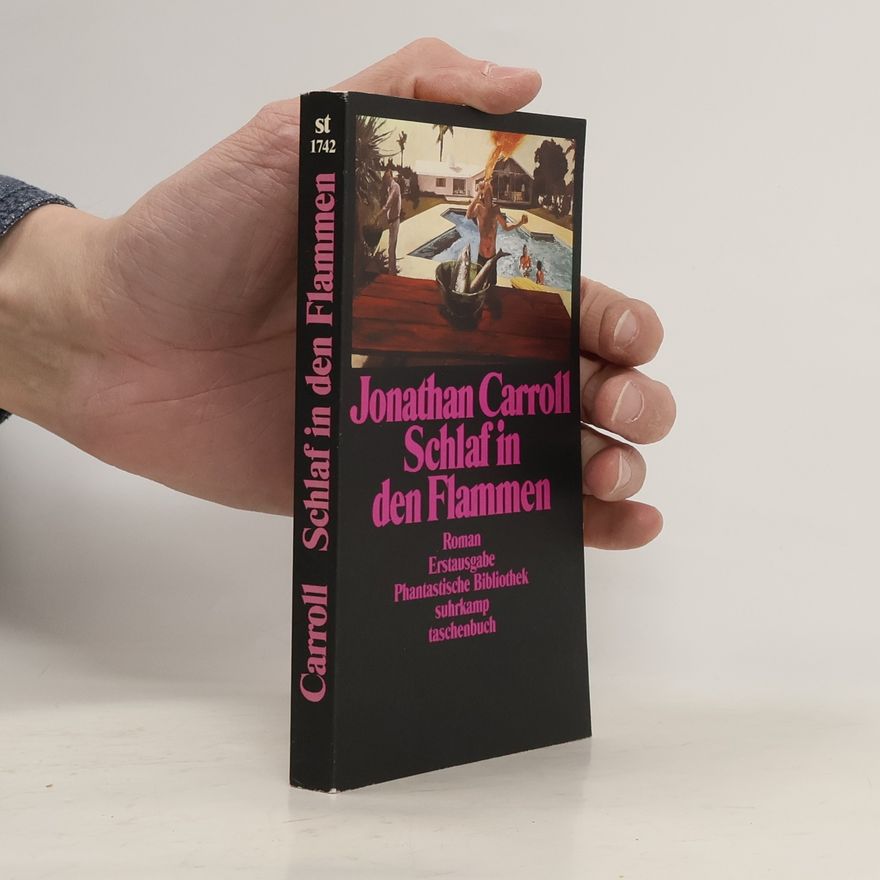 Jonathan Carroll Schlaf in den Flammen