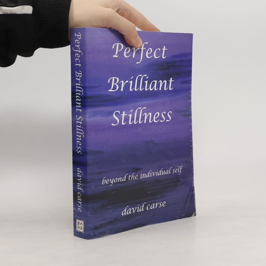 David Carse Perfect Brilliant Stillness