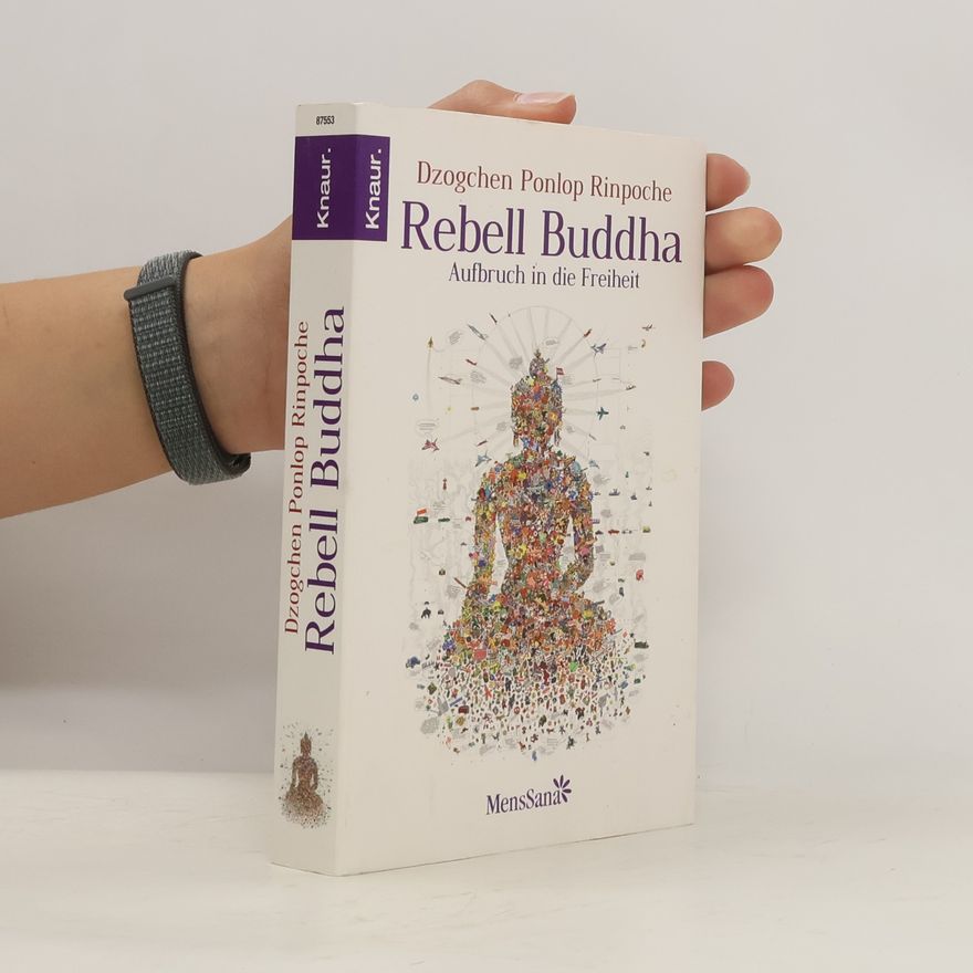 Dzogchen Ponlop Rinpoche Rebell Buddha