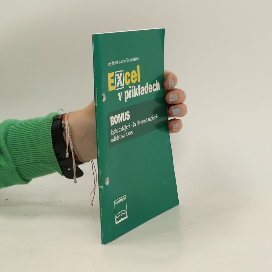 Marek Laurenčík Excel v příkladech