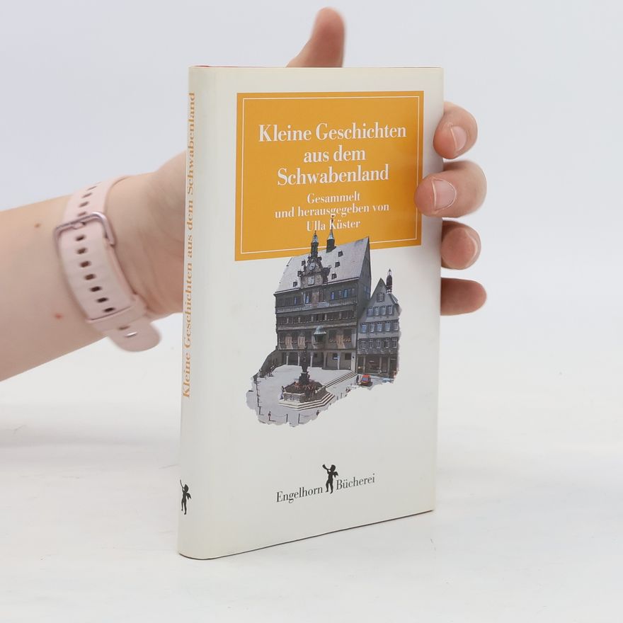 Autorenkollektiv Kleine Geschichten aus dem Schwabenland