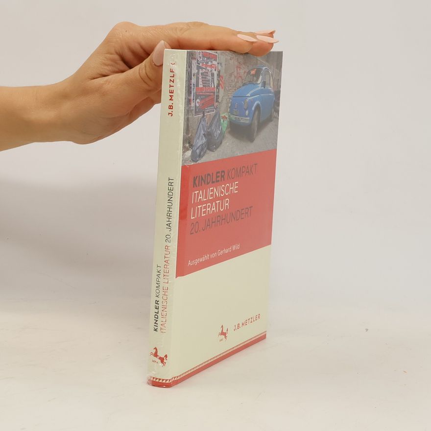 Gerhard Wild Kindler kompakt Italienische Literatur, 20. Jahrhundert