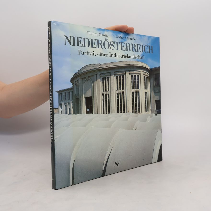 Philipp Mauthe Niederösterreich, Portrait einer Industrielandschaft
