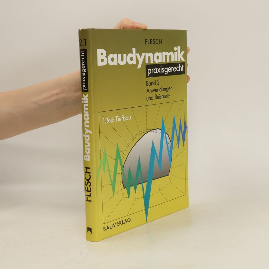 Rainer Flesch Baudynamik praxisgerecht II/1. Tiefbau.