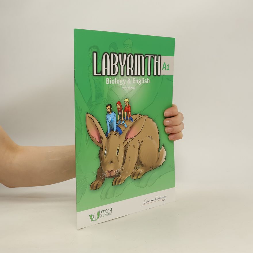 Iva pavlová Labyrinth A1