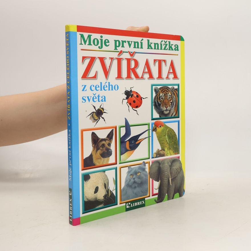 Autorenkollektiv Zvířata z celého světa