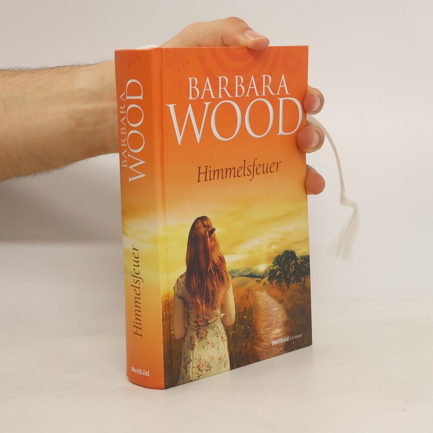 Barbara Wood Himmelsfeuer