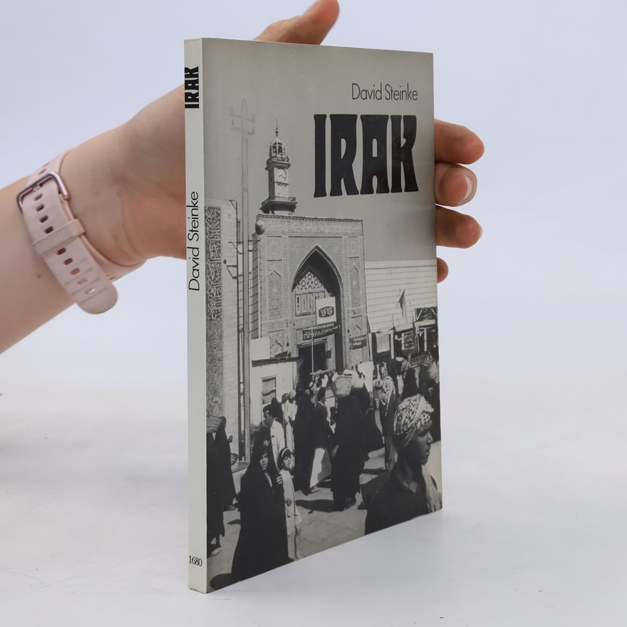 David Steinke Irak