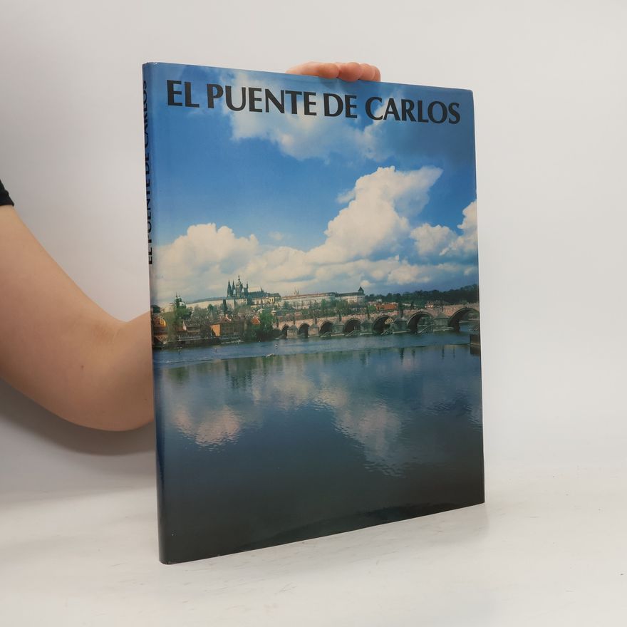 Karel Neubert El Puente de Carlos