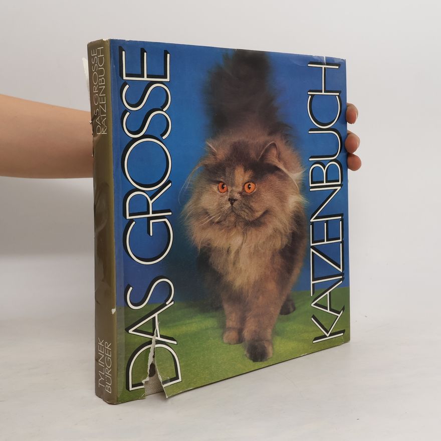 Autorenkollektiv Das grosse Katzenbuch