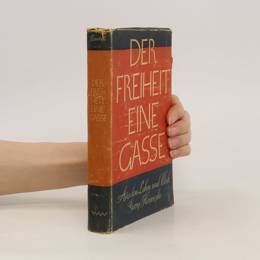 Bruno Kaiser Der Freiheit eine Gasse