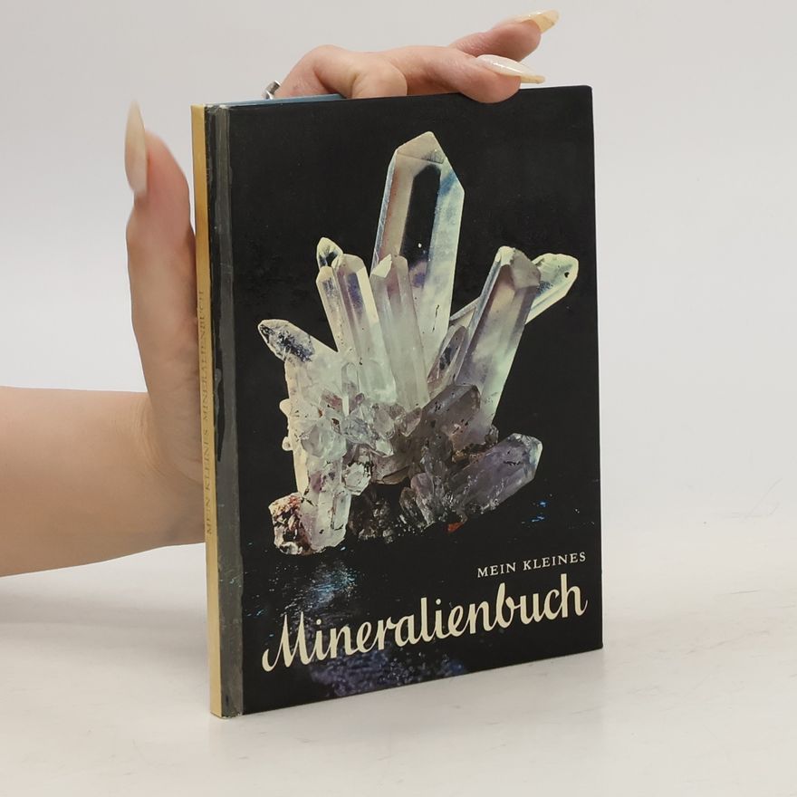 Kolektiv autorů Mein kleines Mineralienbuch